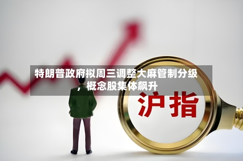 特朗普政府拟周三调整大麻管制分级	，概念股集体飙升-第3张图片