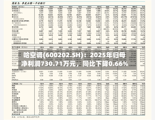 哈空调(600202.SH)：2025年归母净利润730.71万元，同比下降0.66%