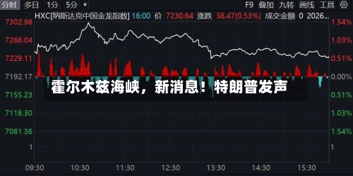 霍尔木兹海峡，新消息！特朗普发声