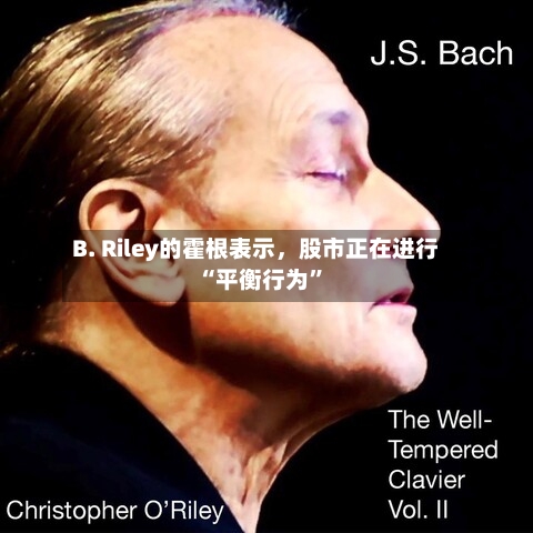 B. Riley的霍根表示，股市正在进行“平衡行为	”-第3张图片