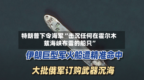 特朗普下令海军“击沉任何在霍尔木兹海峡布雷的船只”-第2张图片