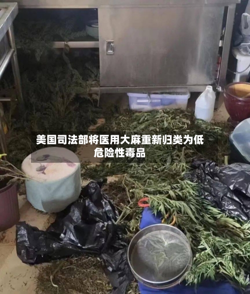 美国司法部将医用大麻重新归类为低危险性毒品