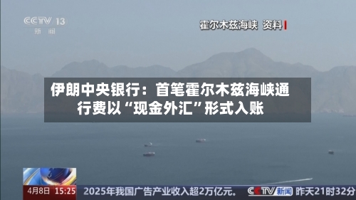 伊朗中央银行：首笔霍尔木兹海峡通行费以“现金外汇”形式入账-第2张图片