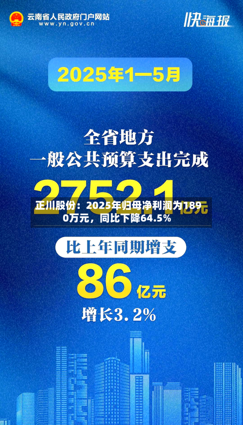 正川股份：2025年归母净利润为1890万元，同比下降64.5%-第3张图片