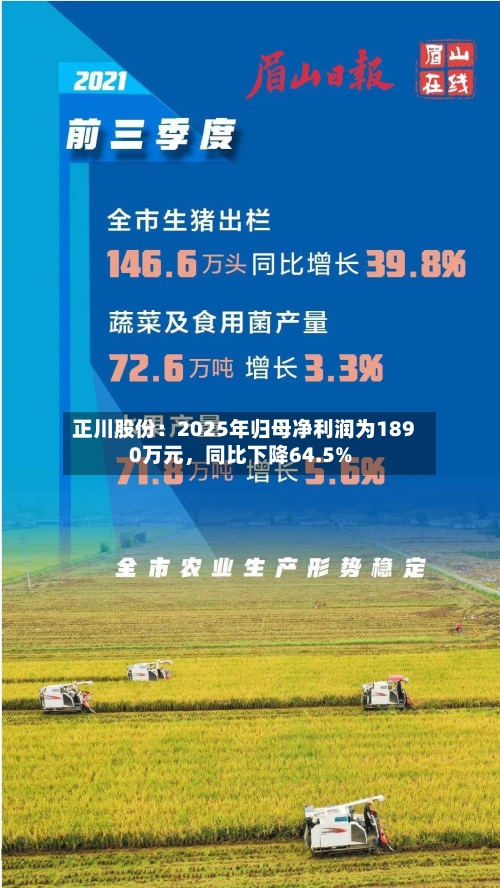 正川股份：2025年归母净利润为1890万元	，同比下降64.5%-第2张图片