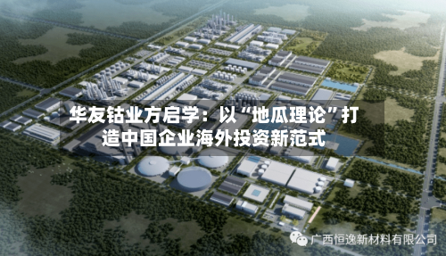 华友钴业方启学：以“地瓜理论”打造中国企业海外投资新范式-第2张图片