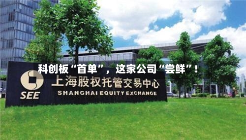 科创板“首单”	，这家公司“尝鲜	”！-第3张图片