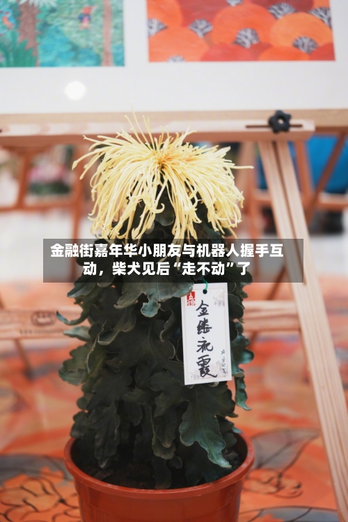 金融街嘉年华小朋友与机器人握手互动，柴犬见后“走不动”了