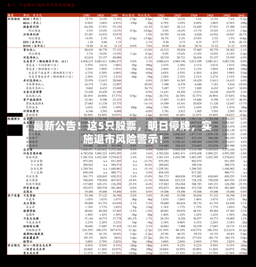 最新公告！这5只股票，明日停牌，实施退市风险警示！-第3张图片