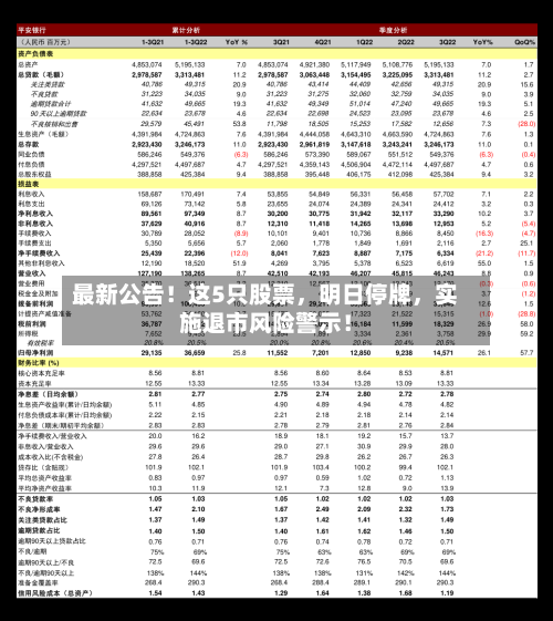 最新公告！这5只股票，明日停牌，实施退市风险警示！