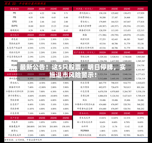 最新公告！这5只股票	，明日停牌，实施退市风险警示！-第2张图片