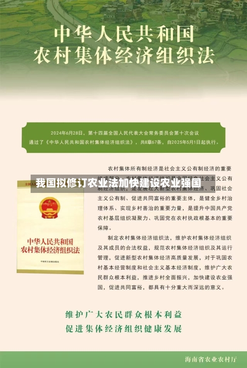 我国拟修订农业法加快建设农业强国-第2张图片
