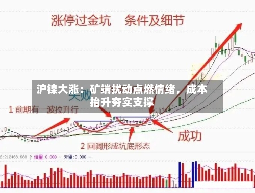 沪镍大涨：矿端扰动点燃情绪，成本抬升夯实支撑