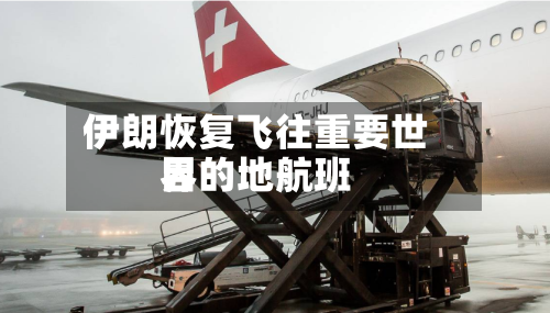 伊朗恢复飞往重要世界目的地航班