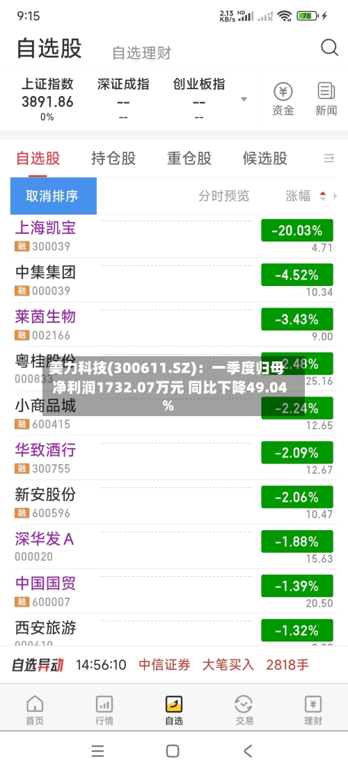 美力科技(300611.SZ)：一季度归母净利润1732.07万元 同比下降49.04%