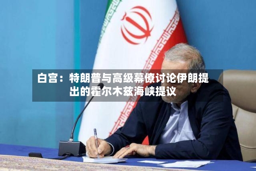 白宫：特朗普与高级幕僚讨论伊朗提出的霍尔木兹海峡提议-第2张图片