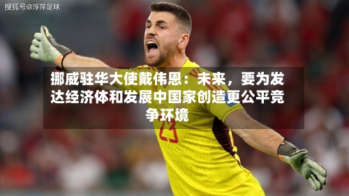 挪威驻华大使戴伟恩：未来	，要为发达经济体和发展中国家创造更公平竞争环境-第2张图片