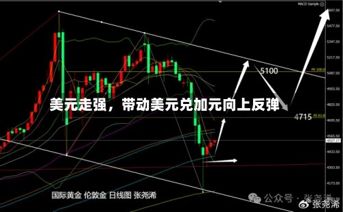 美元走强，带动美元兑加元向上反弹-第2张图片