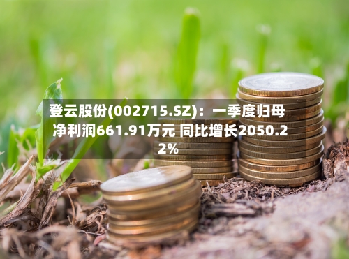 登云股份(002715.SZ)：一季度归母净利润661.91万元 同比增长2050.22%