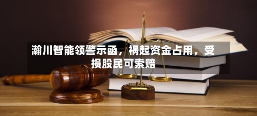 瀚川智能领警示函，祸起资金占用，受损股民可索赔-第3张图片