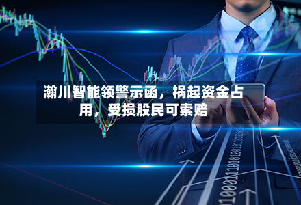 瀚川智能领警示函，祸起资金占用，受损股民可索赔-第2张图片