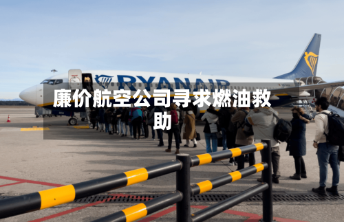 廉价航空公司寻求燃油救助