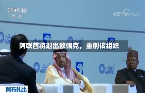阿联酋将退出欧佩克，重创该组织