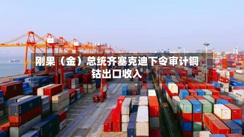 刚果（金）总统齐塞克迪下令审计铜钴出口收入