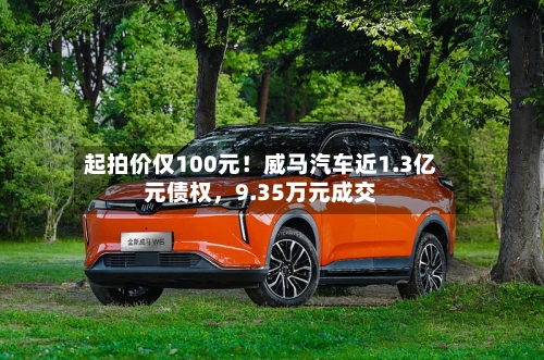 起拍价仅100元！威马汽车近1.3亿元债权，9.35万元成交