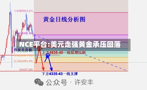 NCE平台:美元走强黄金承压回落-第1张图片