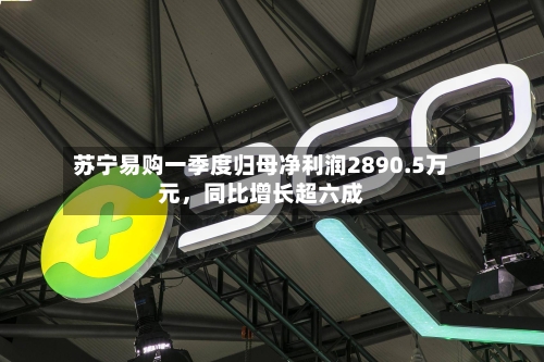 苏宁易购一季度归母净利润2890.5万元，同比增长超六成-第3张图片