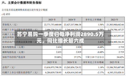 苏宁易购一季度归母净利润2890.5万元，同比增长超六成-第1张图片