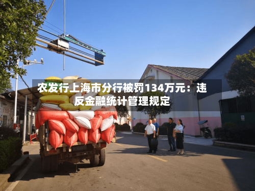 农发行上海市分行被罚134万元：违反金融统计管理规定