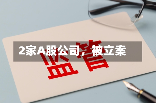 2家A股公司	，被立案-第3张图片