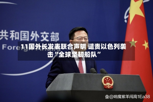 11国外长发表联合声明 谴责以色列袭击“全球坚韧船队”-第1张图片