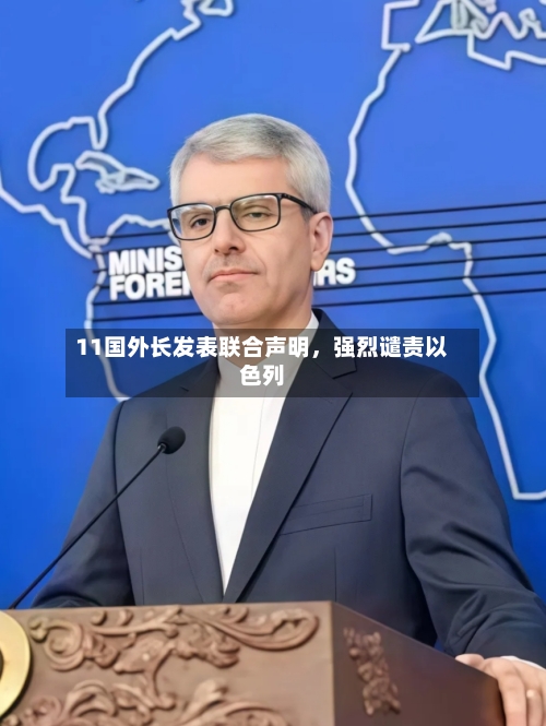 11国外长发表联合声明，强烈谴责以色列-第3张图片