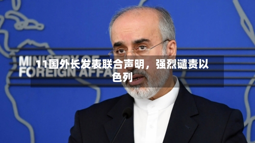 11国外长发表联合声明，强烈谴责以色列-第2张图片
