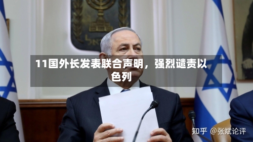 11国外长发表联合声明，强烈谴责以色列