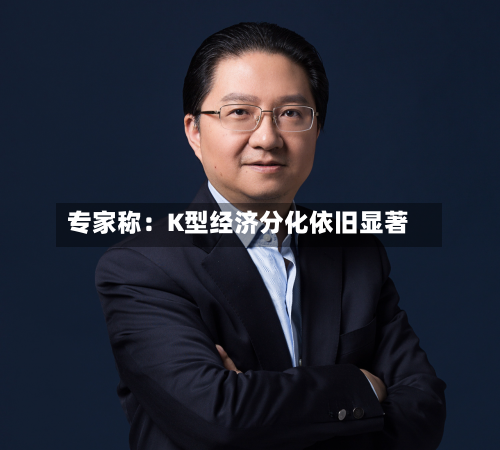 专家称：K型经济分化依旧显著