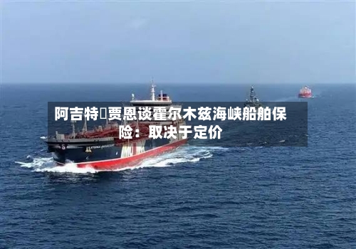 阿吉特・贾恩谈霍尔木兹海峡船舶保险：取决于定价-第2张图片