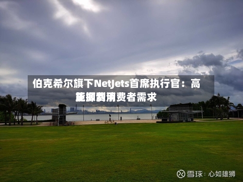伯克希尔旗下NetJets首席执行官：高能源费用正抑制消费者需求