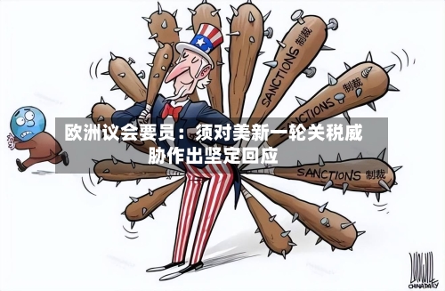 欧洲议会要员：须对美新一轮关税威胁作出坚定回应