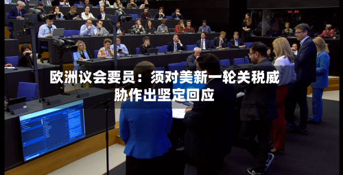 欧洲议会要员：须对美新一轮关税威胁作出坚定回应-第3张图片