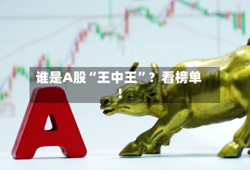 谁是A股“王中王”？看榜单！
