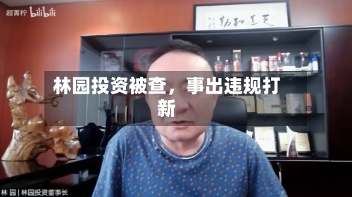 林园投资被查	，事出违规打新-第3张图片