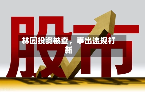林园投资被查，事出违规打新
