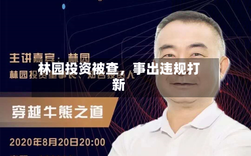 林园投资被查	，事出违规打新-第2张图片