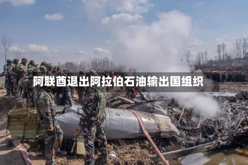 阿联酋退出阿拉伯石油输出国组织-第2张图片