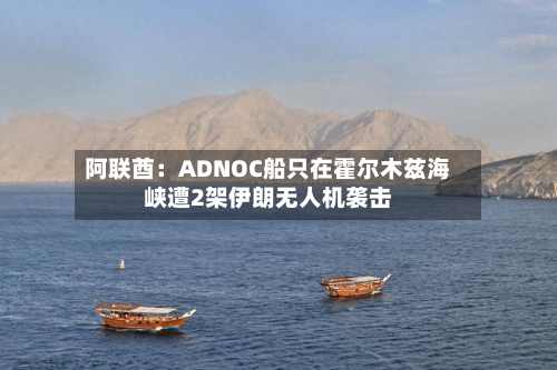 阿联酋：ADNOC船只在霍尔木兹海峡遭2架伊朗无人机袭击