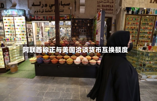 阿联酋称正与美国洽谈货币互换额度